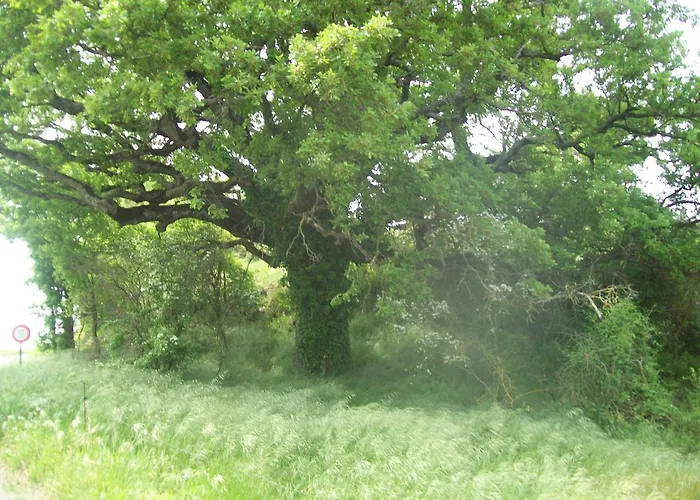 D'hôtes La Margotte Couette-café 3*